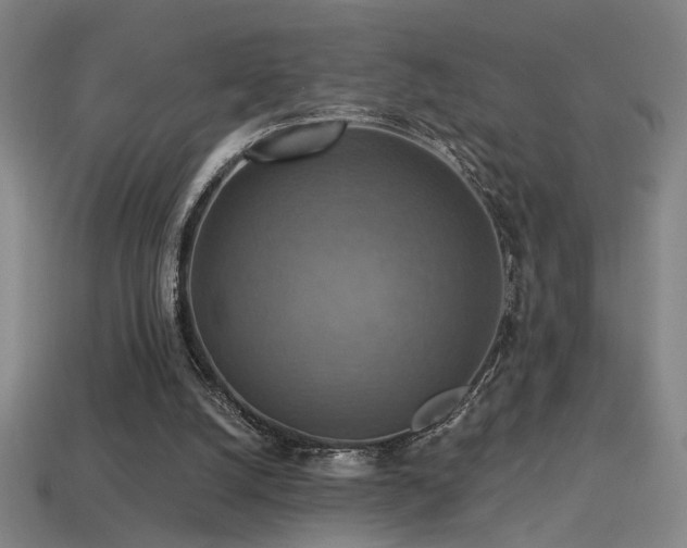 X0000114420056200910161237