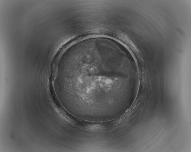 X0000114420058200910161237