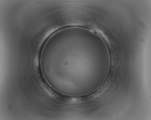 X0000114420060200910161237