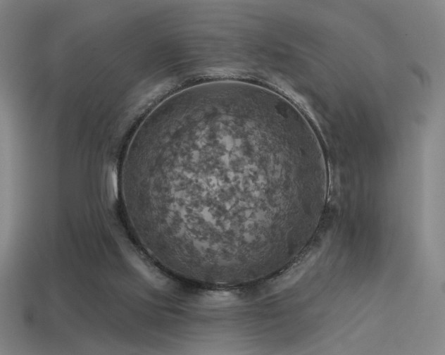 X0000114420061200910161237