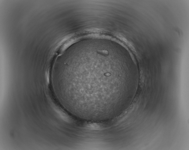 X0000114420062200910161237