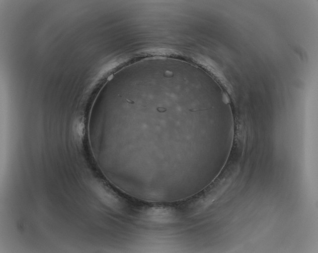 X0000114420063200910161237