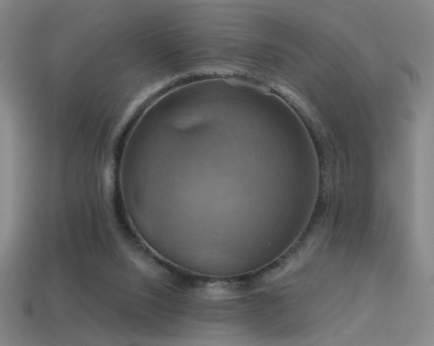 X0000114420064200910161237