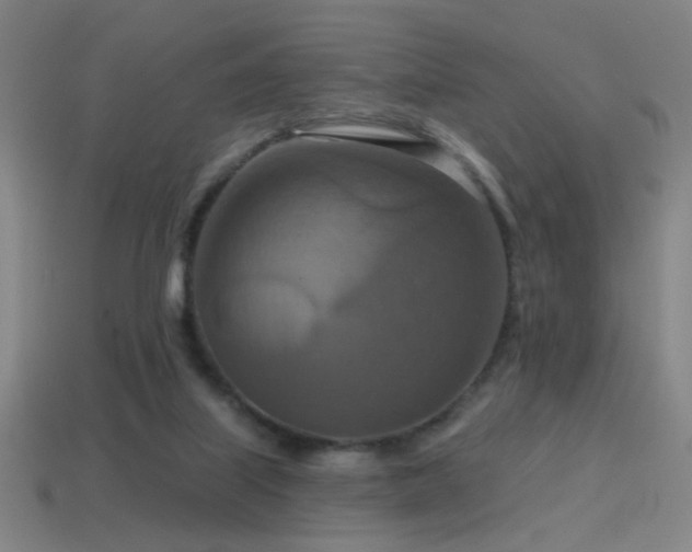 X0000114420067200910161237