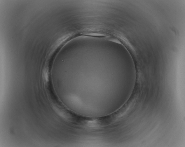 X0000114420068200910161237