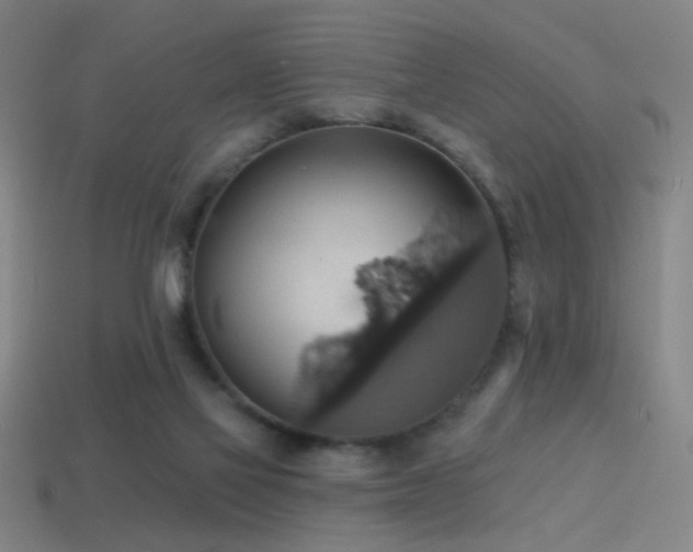 X0000114420069200910161237