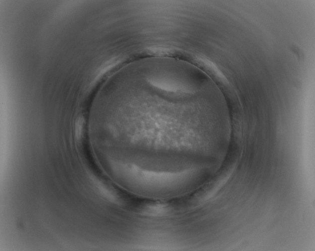 X0000114420071200910161237
