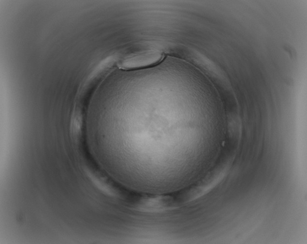X0000114420072200910161237