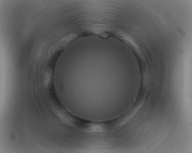 X0000114420073200910161238