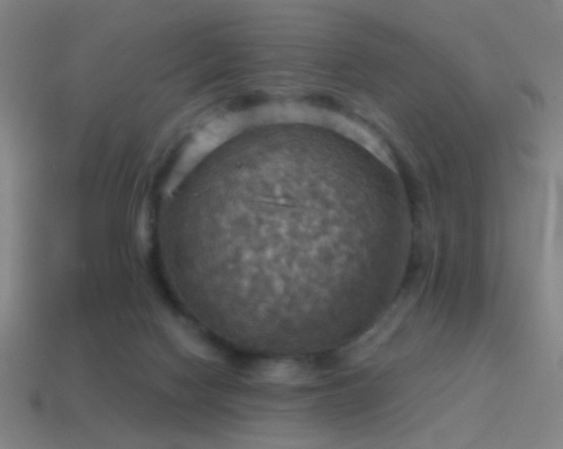 X0000114420074200910161238