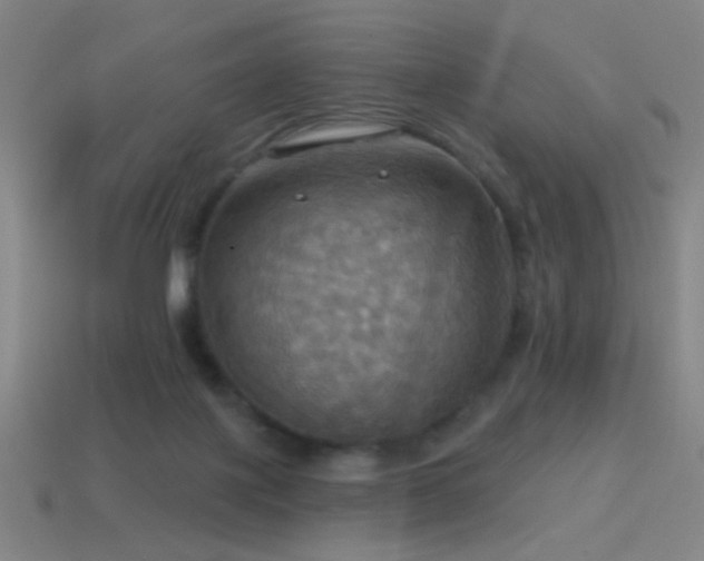 X0000114420075200910161238