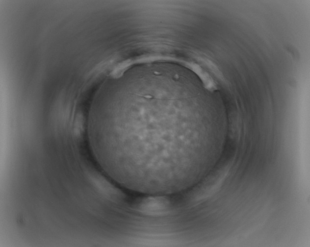 X0000114420077200910161238
