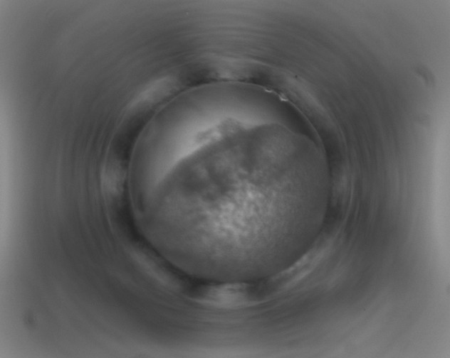 X0000114420078200910161238