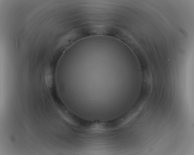 X0000114420080200910161238