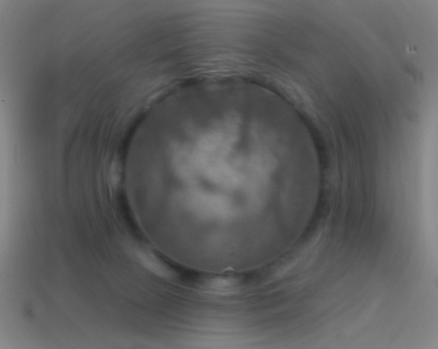 X0000114420081200910161238