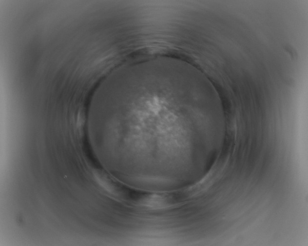 X0000114420082200910161238