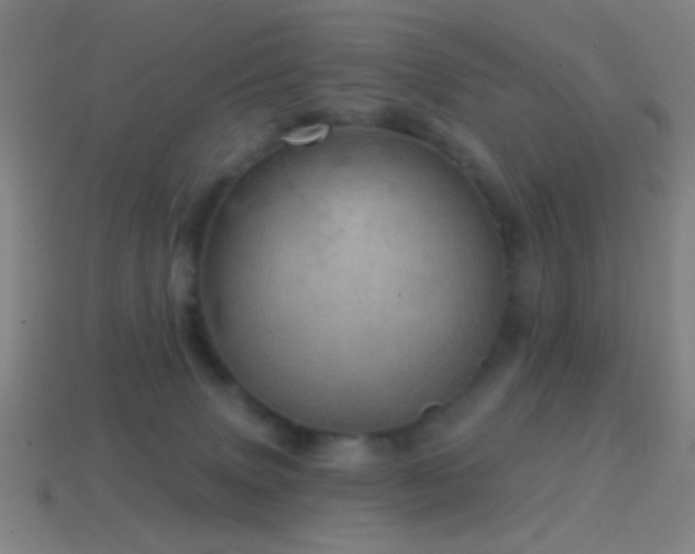 X0000114420083200910161238