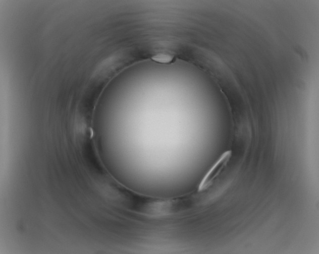 X0000114420084200910161238
