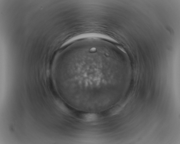 X0000114420085200910161238