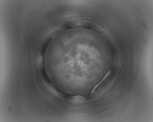 X0000114420087200910161238