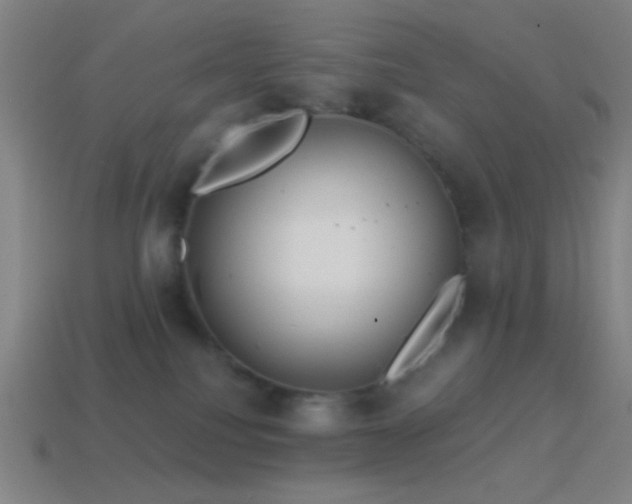 X0000114420088200910161238