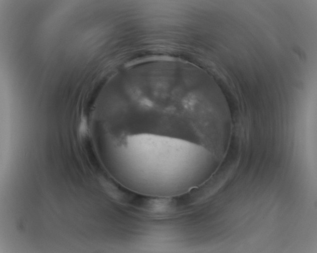 X0000114420089200910161238
