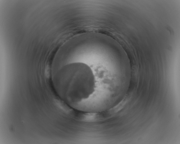 X0000114420090200910161238