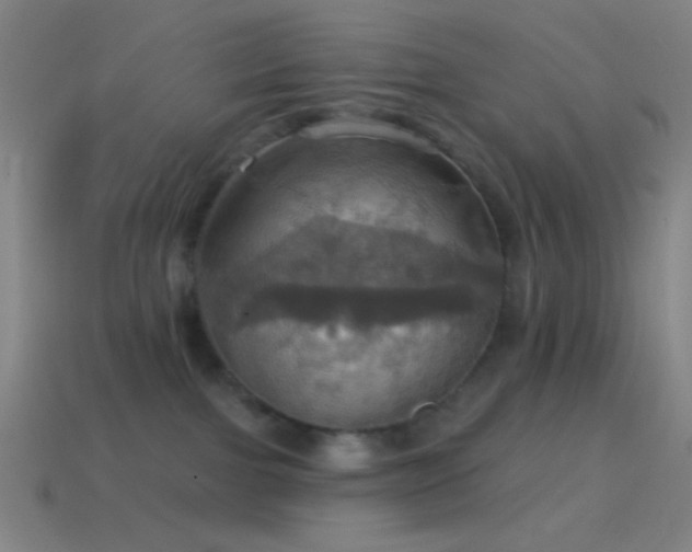 X0000114420091200910161238