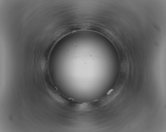 X0000114420092200910161238