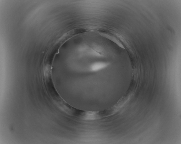 X0000114420093200910161238