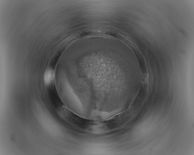 X0000114420095200910161238