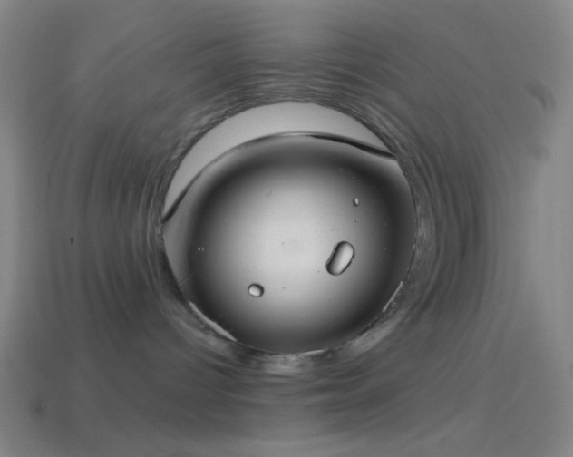 X0000114420096200910161238