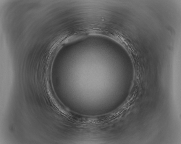 X0000114420097200910161237