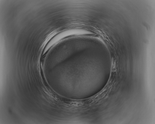 X0000114420099200910161237