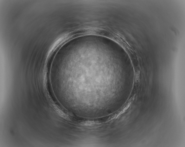X0000114420101200910161237