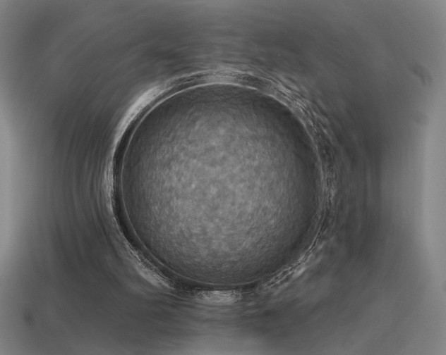 X0000114420102200910161237