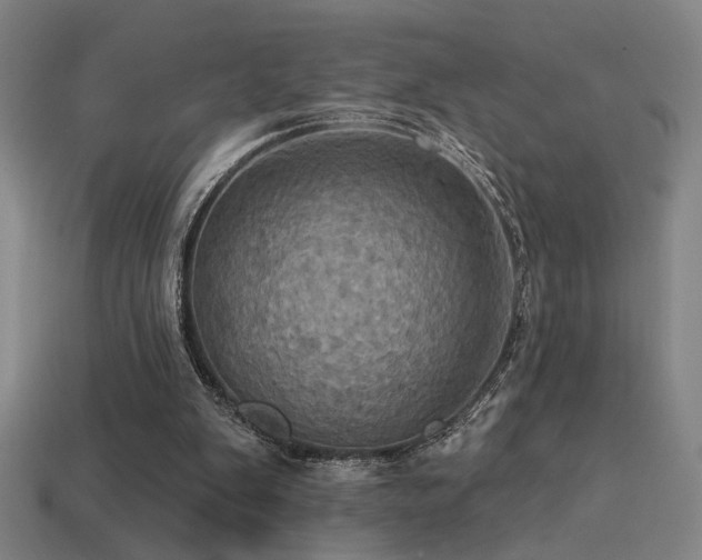 X0000114420103200910161237