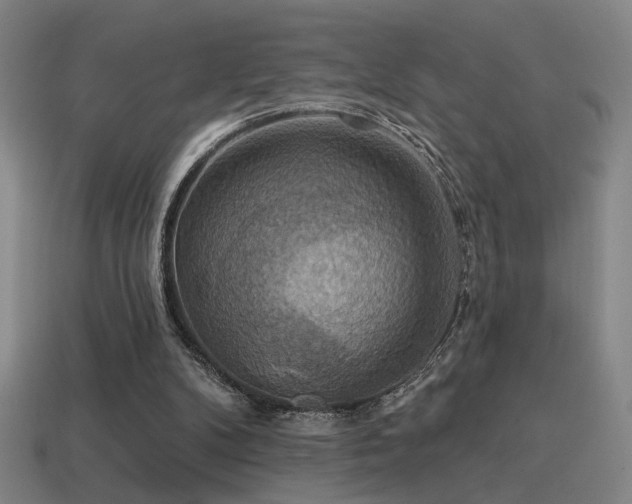 X0000114420104200910161237