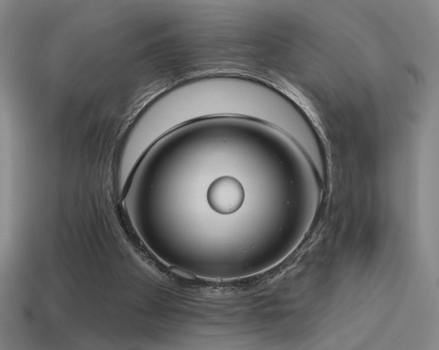 X0000114420105200910161237