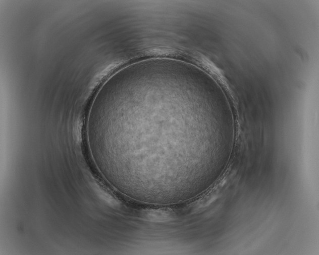 X0000114420106200910161237