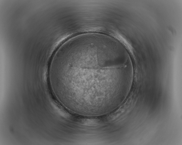 X0000114420107200910161237
