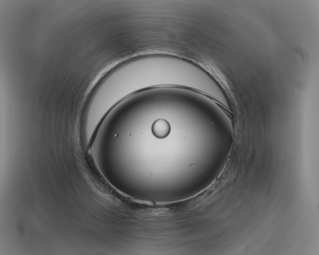 X0000114420108200910161237
