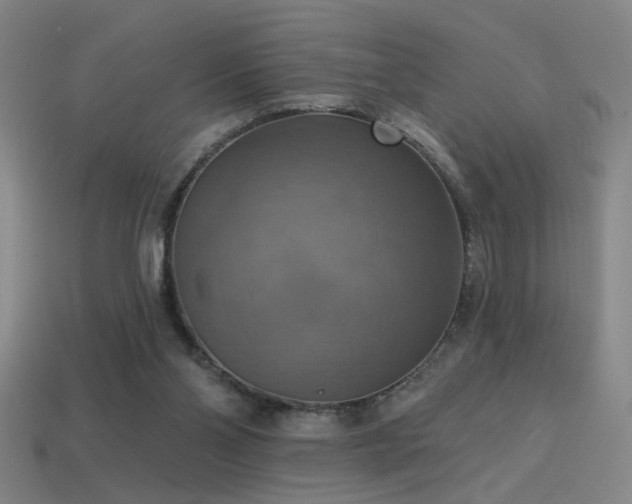 X0000114420110200910161237
