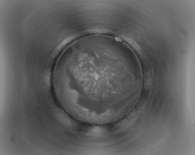 X0000114420111200910161237