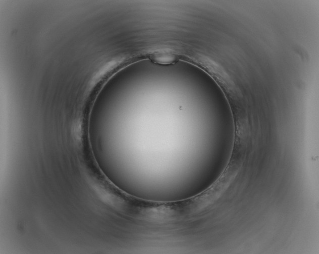 X0000114420112200910161237