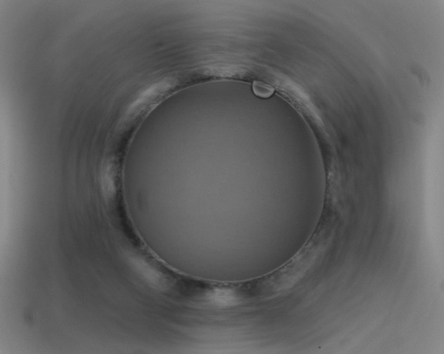 X0000114420114200910161237