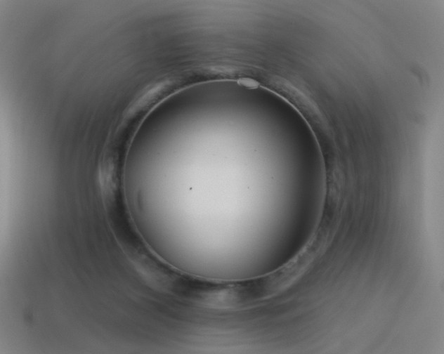 X0000114420116200910161237