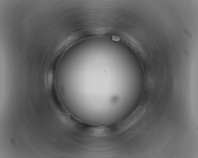 X0000114420118200910161237