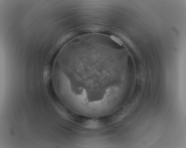 X0000114420119200910161237