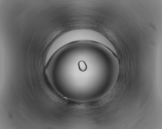 X0000114420120200910161237